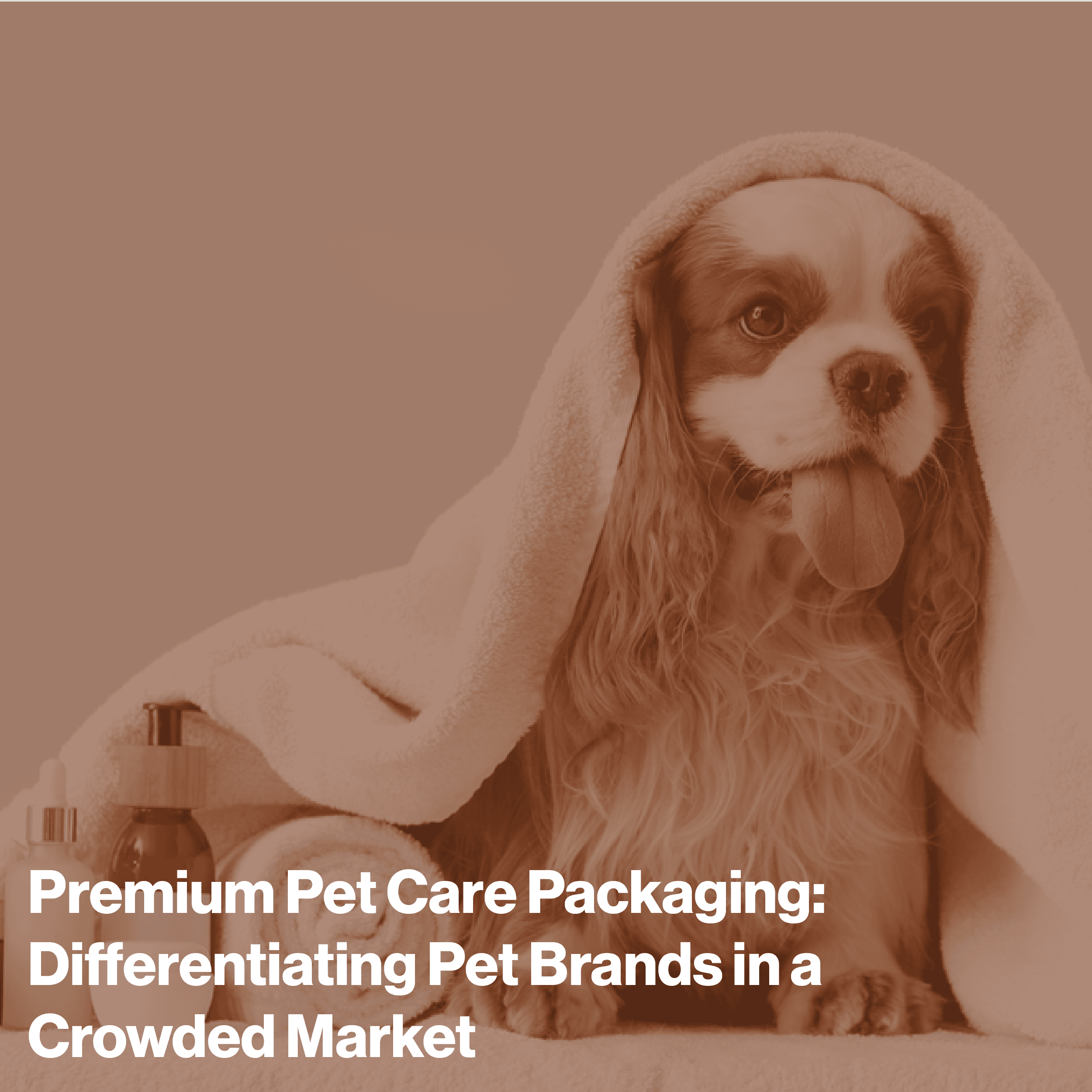 Premium Pet Care Packaging Product Photo