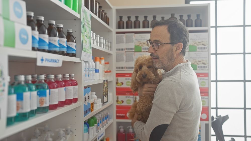 Owner applying shampoo to dog using plastic bottle and dispensing cap